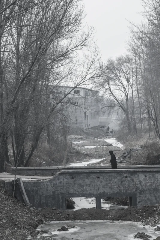 Fading Landscapes II by artist Wang wulong, Photography, Artishion