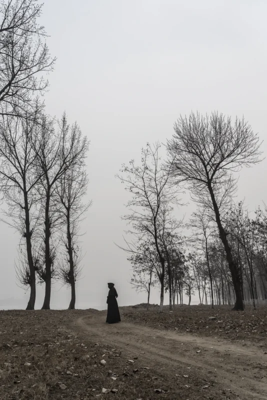 Fading Landscapes Ⅶ by artist Wang wulong, Photography, Artishion