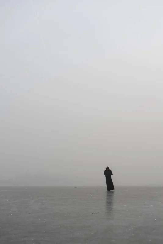 Fading Landscapes Ⅹ by artist Wang wulong, Photography, Artishion