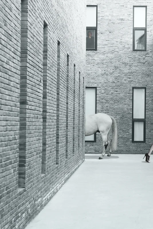 A white horse standing quietly between brick walls in a narrow urban passage.