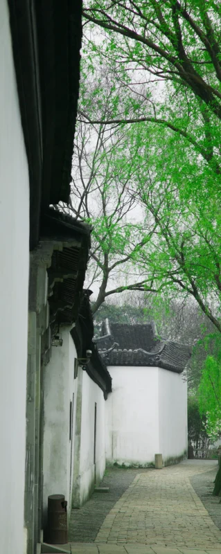 A narrow Jiangnan alley framed by white walls, dark rooflines, and fresh spring foliage.