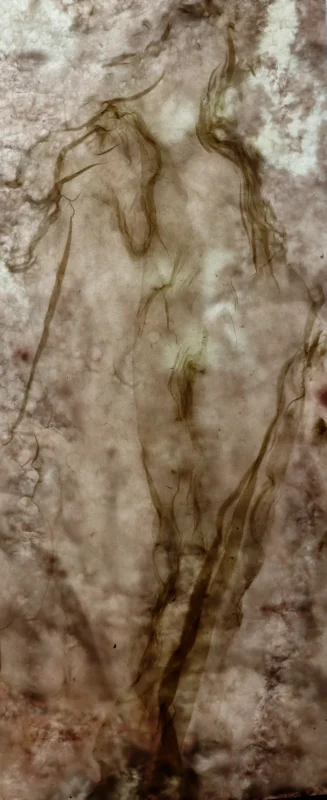 Mixed-media work Vilas, featuring an ethereal human figure formed by fibers and handmade paper textures.