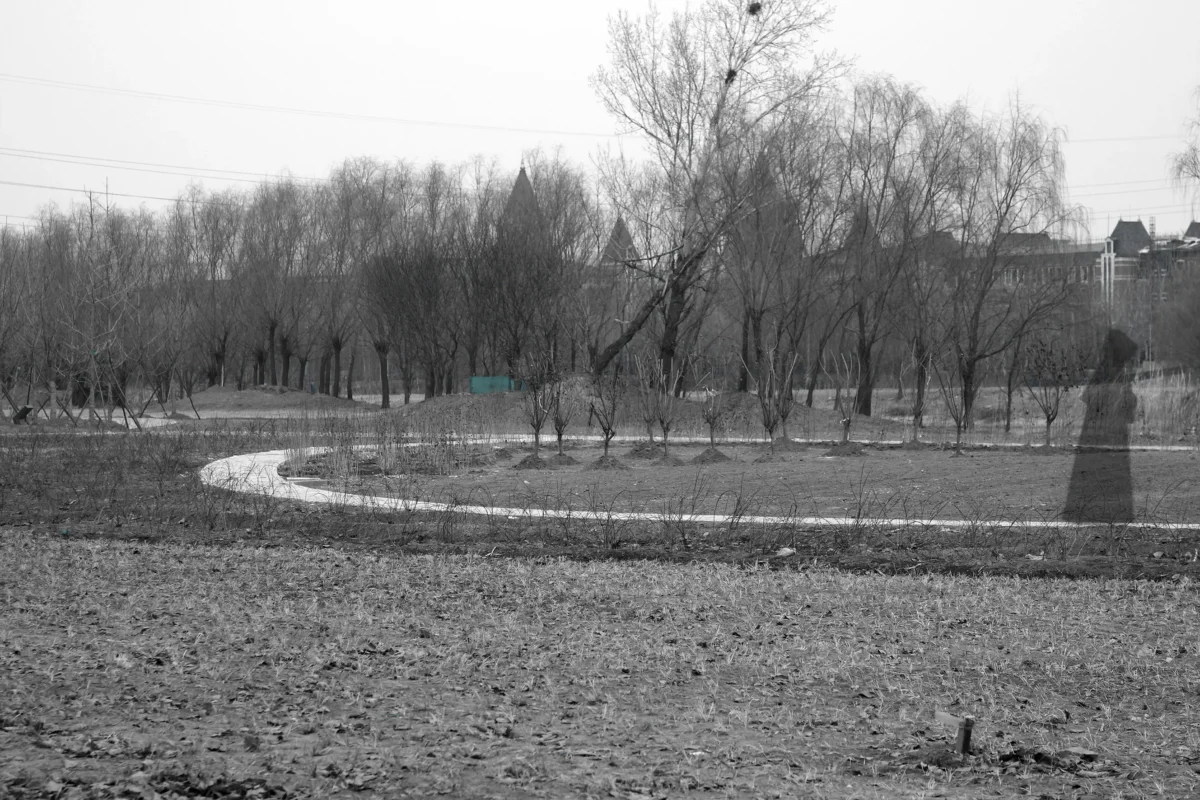 A translucent dark figure appears at the edge of an open landscape, standing beside a winding path beneath bare winter trees.