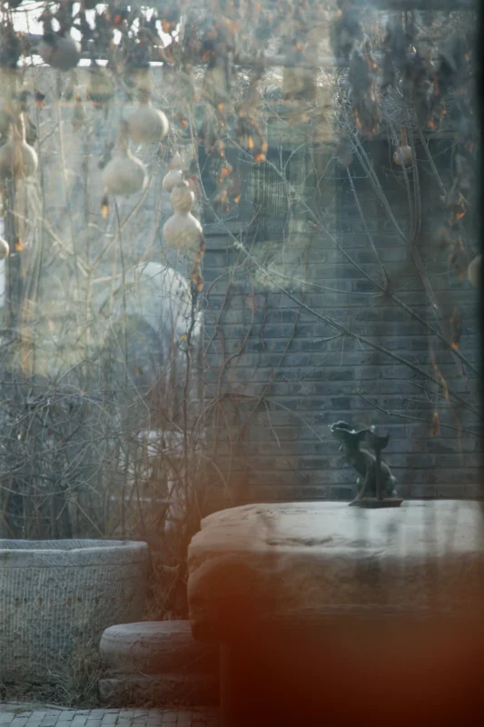 Weathered wall, stone steps, and traces of autumn tones in a quiet courtyard scene.