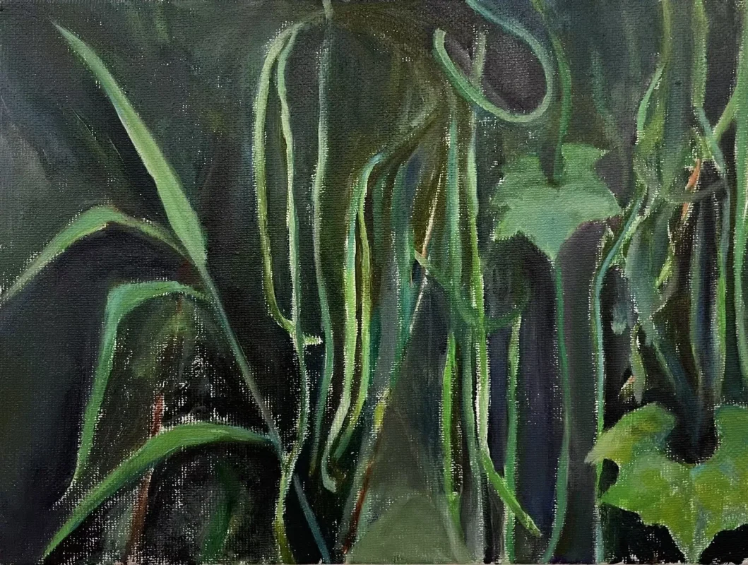 Wild grasses and climbing vines growing in dense vegetation