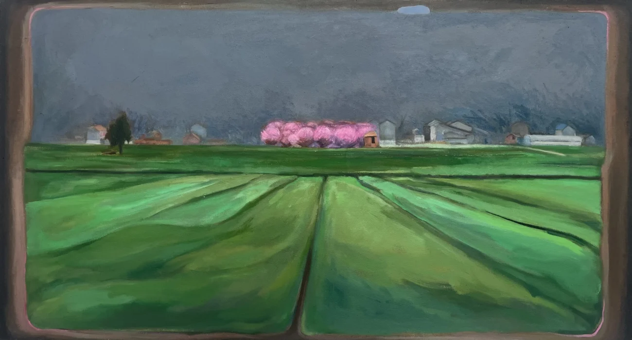 A distant grove of peach blossoms blooming across northern farmland